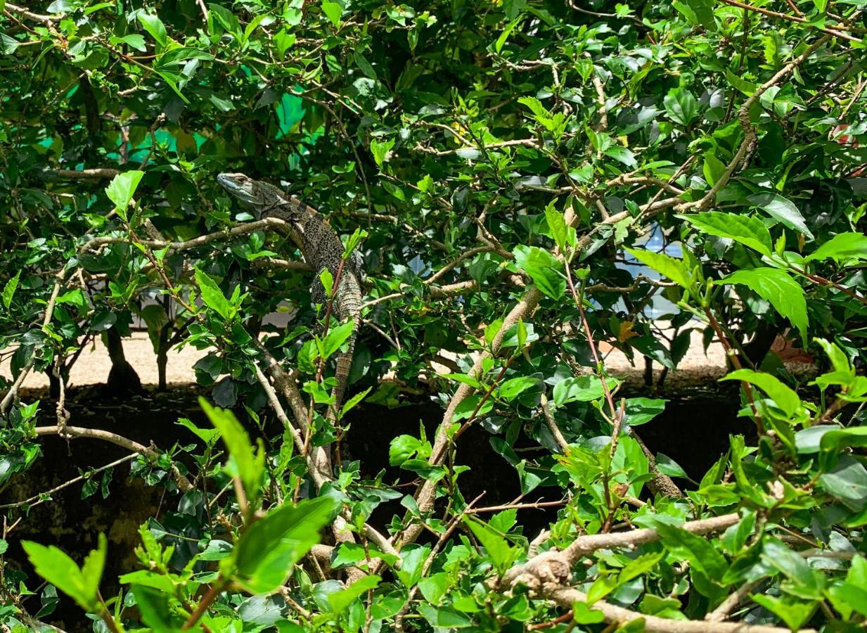 Ola Bonita Beachfront Apart Hotel Playa Hermosa  Bagian luar foto